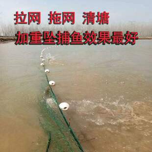 渔网拖网清塘拉鱼网拉网带兜刮网鱼塘拖鱼捕鱼网围网手工渔网定制