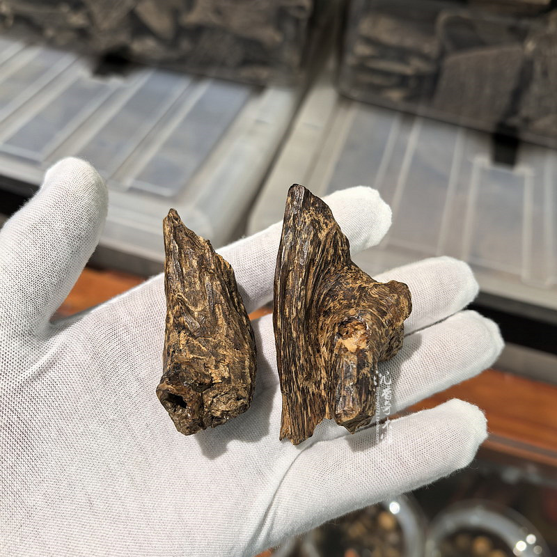 芽庄天然野生老料黄熟香九九分沉水随形沉香挂件品香收藏香道薰料