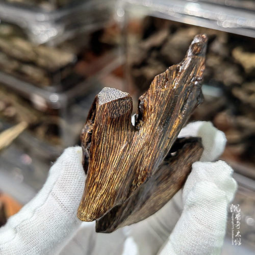 白奇楠沉香越南芽庄天然老料