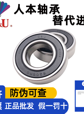 人本轴承耐高温低温6300高速6301ETK6302 6303 6304 6305 6306 RS