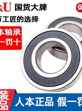 人本6201轴承6202正品6203大全6204高速6205 6206 6306 6308 6309