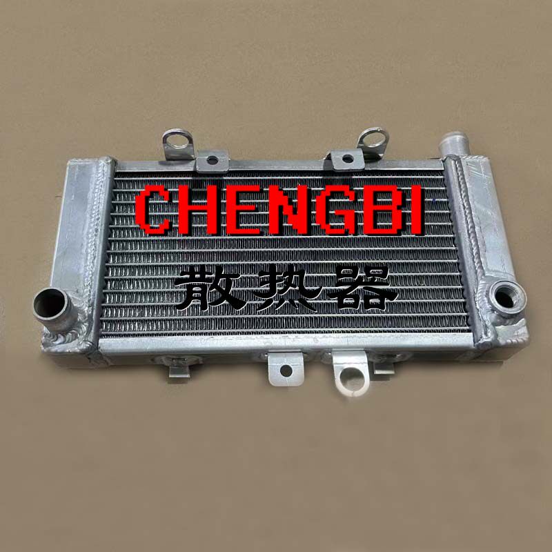 摩托车 适用本田 小黄蜂250 水箱总成 水冷散热器 发动机散热器