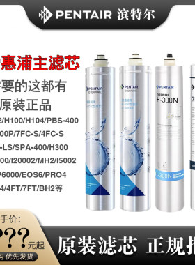 爱惠浦净水器专用替换滤芯
