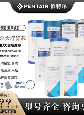滨特尔家用大蓝瓶10 20寸大胖PP棉RFC DFX KDF CFB FLO活性炭滤芯