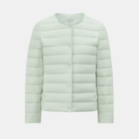 Светлые бобы зеленый | 4836