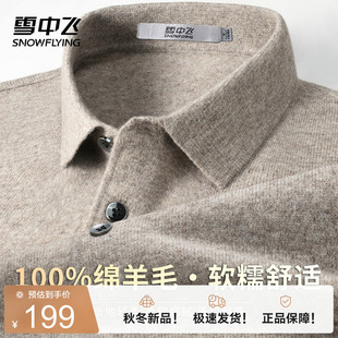 雪中飞26新款内搭休闲【绵羊毛】男式POLO衫领纽扣羊毛衫W