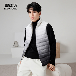 雪中飞2022秋冬新款基础简约舒适轻便休闲运动男士立领羽绒马甲潮