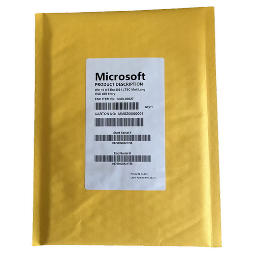 Windows 10IoT Ent 2021windows10Ltsc企业长效版2021