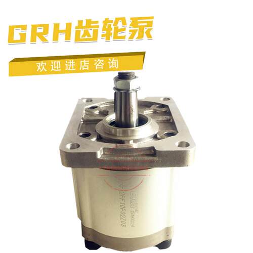 液压齿轮泵2PF10F02Z03 CBT-F304L14P13 CBN-F314L-X CBN-G316议