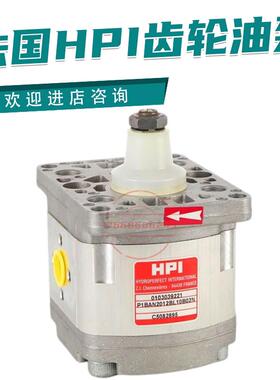 法国液压齿轮泵P1BAN1001/1002/1003/1004/1005/2012液压油泵议价