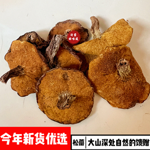 松蘑沂蒙特产野生松蘑菇干货500g松菇粘蛾子松蛾粘团子野生蘑菇