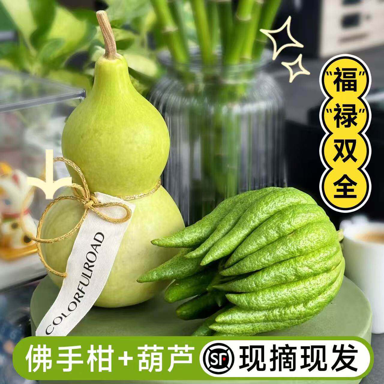 翡翠葫芦摆件佛手柑鲜果植物云南天然新鲜观赏桌面福禄闻香橼托盘