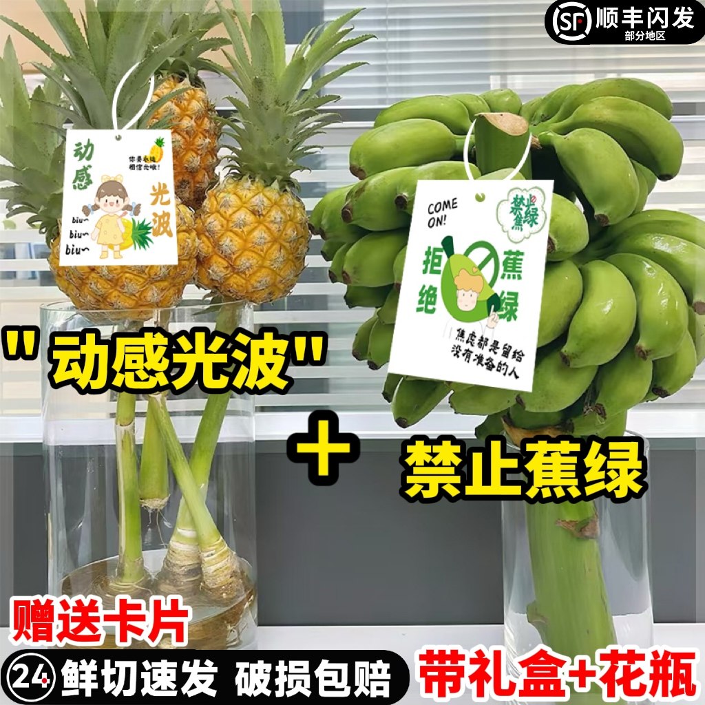 水培香蕉花禁止蕉虑现切插花拒绝蕉绿桌面绿植办公室菠萝凤梨芭蕉,鲜花速递/花卉仿真/绿植园艺,花材,淘宝优惠券,粉丝福利购,淘宝优惠卷