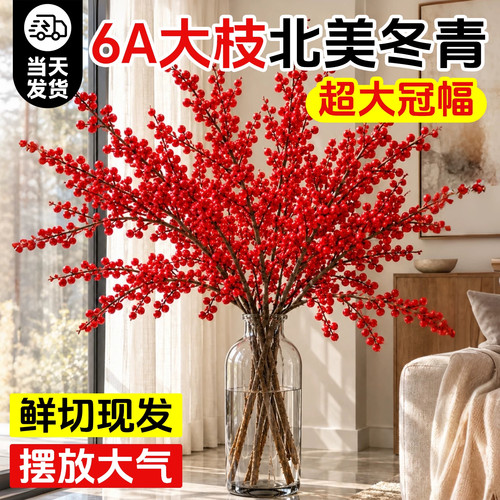北美冬青红果真花带果水培鲜切花枝室内客厅水养鲜花年宵花卉盆栽