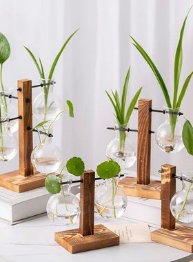 Terrarium Vasevase Decoration Home Bonsai Flower Plant Vases