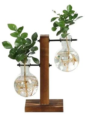 Terrarium Vasevase Decoration Home Bonsai Flower Plant Vases