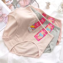 彩田纯棉内裤7005高腰加大码纯色全棉面料舒适透气女士包臀短裤头