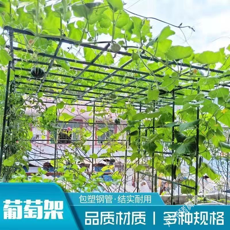 葡萄架包塑钢管材料庭院套网格猕猴桃爬藤类植物一件跨境