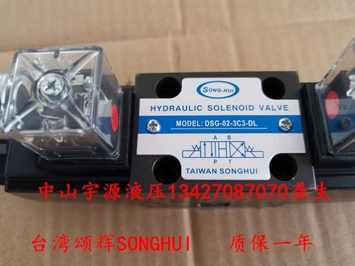 DSG-02-3C3-DL台湾SONGHUI液压电磁阀 DSG-02-3C3-LW AC220 DC24V