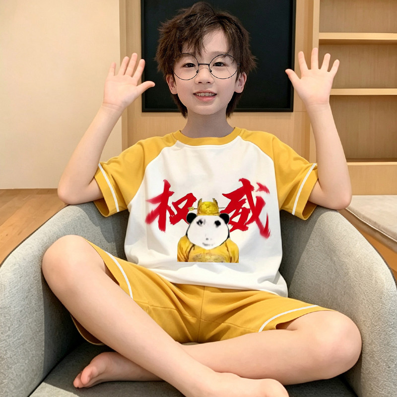 儿童家居服男孩青少年夏季家居服