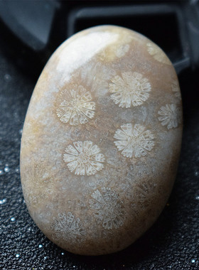 天然白色珊瑚玉吊坠