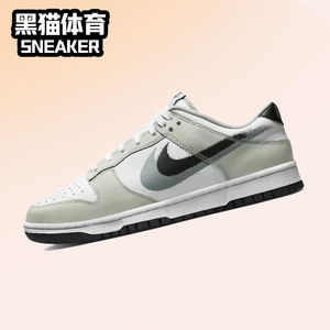 Nike Dunk Low 双钩 男子低帮复古潮流休闲运动板鞋 FD0661-100