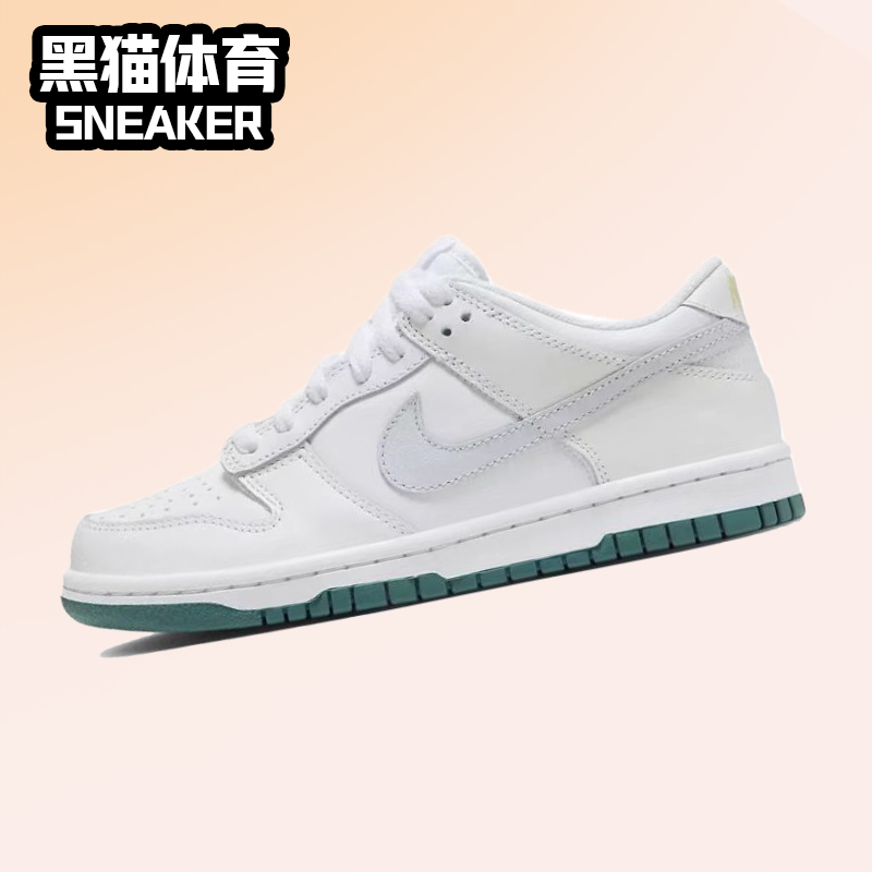 Nike Dunk Low GS白色女子低帮复古休闲运动板鞋 FD9911-101-封面