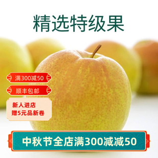 山西隰县正宗玉露香梨5/8/9/10斤新鲜水果整箱脆甜多汁包邮