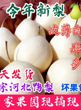 河北鸭梨当季水果5-8.7斤水晶梨多汁农产品新鲜雪梨应季现发包邮