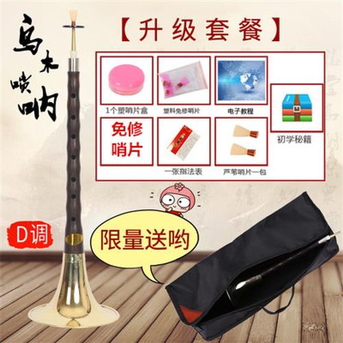 花梨木乌木唢呐乐器D调初学者成人全套民族吹奏乐器乌木D调黄碗+8