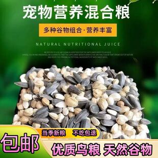 2025三合一油葵麻子红花籽混合三合一鹦鹉蜡嘴鸽子鸟粮鸟食老三样