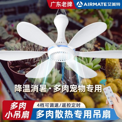丨多肉小吊扇丨艾美特丨广东老牌