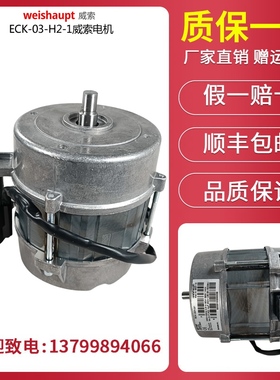 威索weishaupt原装电机ECK03/H-2/1   ECK04/A-2