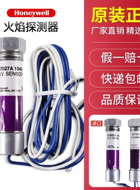 电眼R4343E101火焰探测器