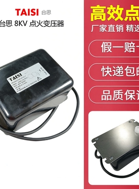 台思LGB点火高压包2*5KV 2*7KV  LGB 1*8KV变压器