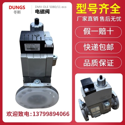 DUNGS冬斯DMV-DLE5065/DMV-DLE5080/电磁阀/双阀
