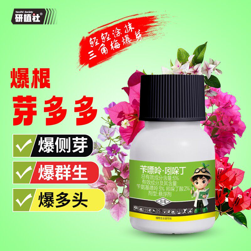 研植社爆根芽多多生根壮根催芽培养多头优芽素花三角梅促芽叶面肥