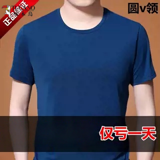 啄木鸟男士短袖T恤圆领桑蚕丝宽松型冰丝凉感体恤衫夏季半袖v领男