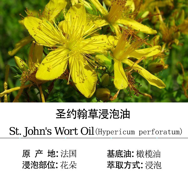 法国圣约翰草浸泡油基础油舒缓风S肌肉关节通经络护肤按摩芳疗