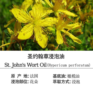 法国圣约翰草浸泡油基础油舒缓风S肌肉关节通经络护肤按摩芳疗