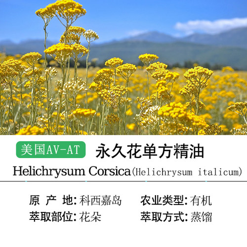美国AVAT科西嘉岛产区意大利永久花蜡菊单方精油