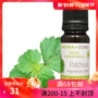 Hương thơm vùng Pháp hoắc hương hoang dã duy nhất tinh dầu thơm 10ml PATCHOULI - Tinh dầu điều trị tinh dầu thiên nhiên nguyên chất