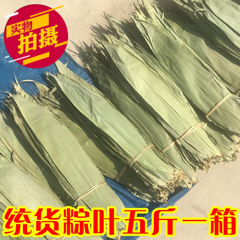 新鲜粽叶麻竹干粽叶商用原产地