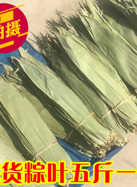 野生粽叶王 商用烘干大粽叶粽子叶新鲜特大深山采摘5斤装统货免邮