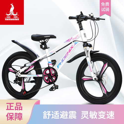 凤凰儿童自行车碟刹中大童