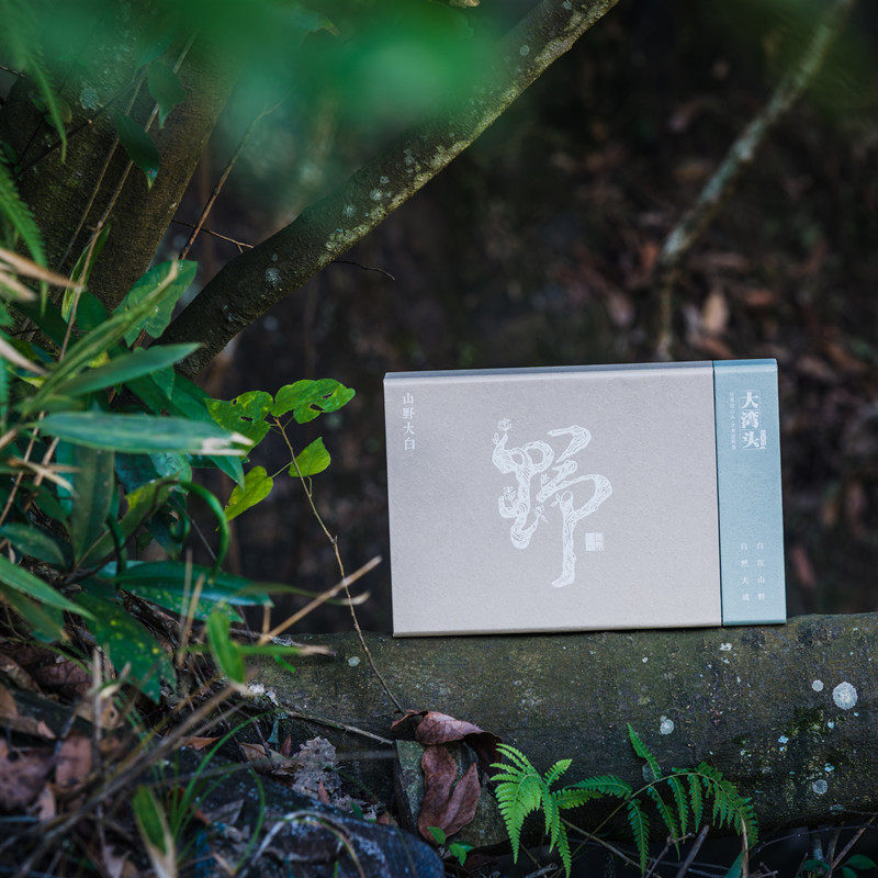 大湾头福鼎白茶白茶茶叶 山野大白白牡丹白茶茶饼80克礼盒装18年