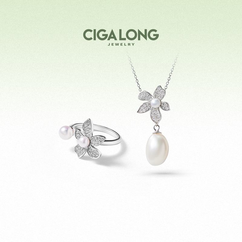 ʦCIGALONGƷ鱦880Ԫ