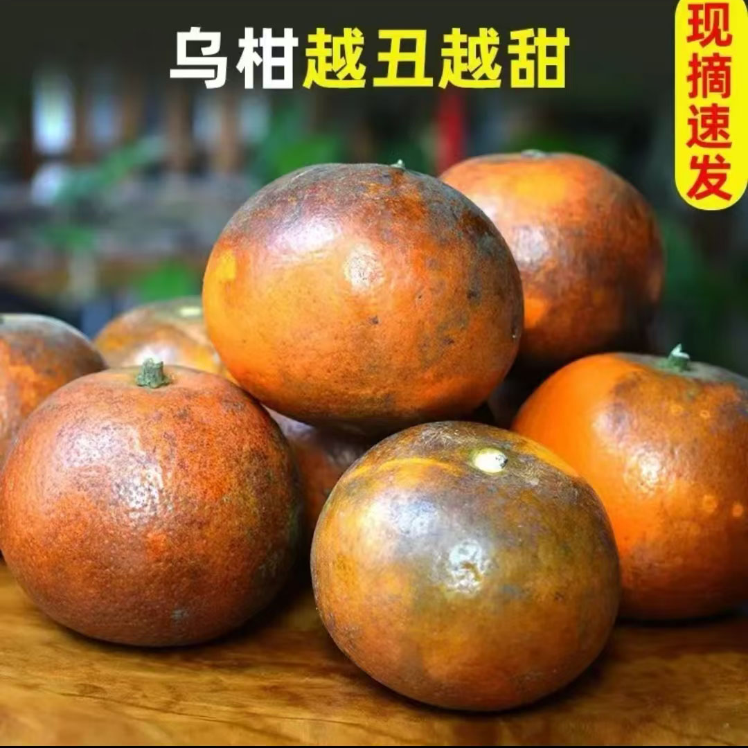 正宗广西非洲乌柑黑皮花皮沃柑超甜应季新鲜水果丑桔脏脏柑包邮,水产肉类/新鲜蔬果/熟食,桔子,淘宝优惠券,粉丝福利购,淘宝优惠卷