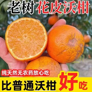 新鲜沃柑正宗武鸣广西花皮沃柑当季水果薄皮橘子蜜桔整箱桔子批发