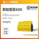 耶加雪菲SOE 埃塞俄比亚G1 辛鹿臻选 Sinloy 精品单品咖啡豆500g